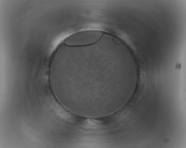 X0000113271312200909171704