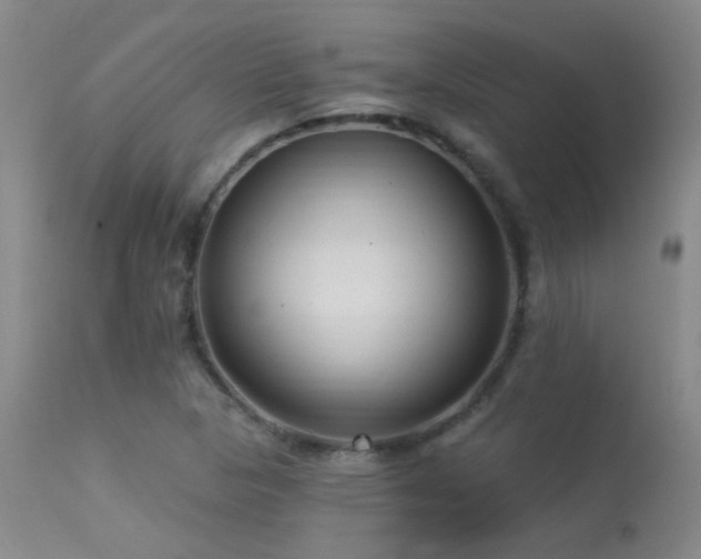 X0000113271313200909171704
