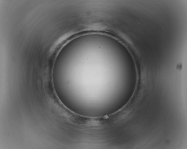 X0000113271315200909171704