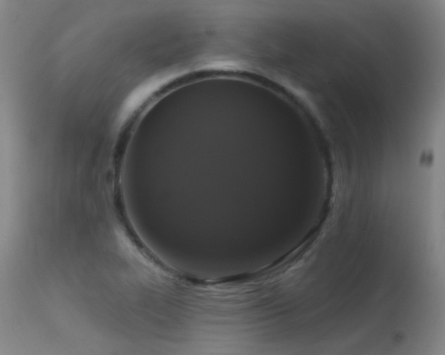 X0000113271319200909171704
