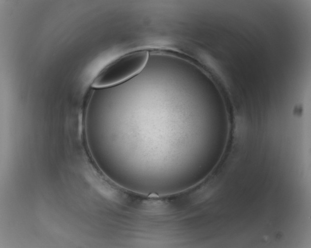 X0000113271320200909171704