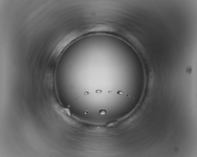 X0000113271321200909171704