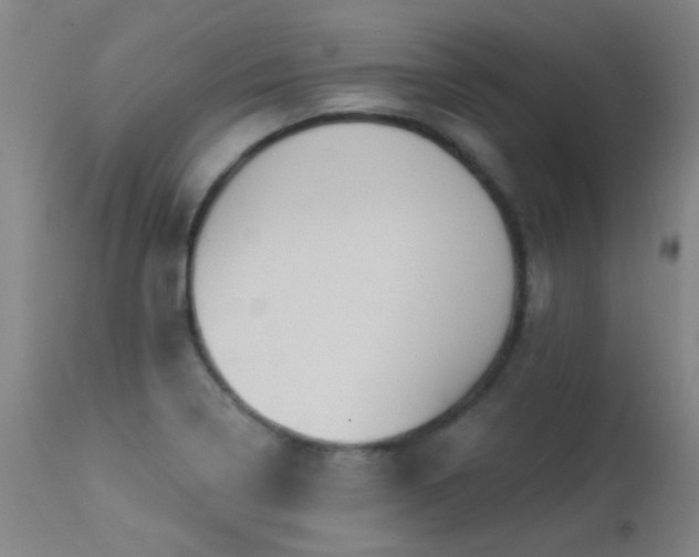 X0000113271322200909171704