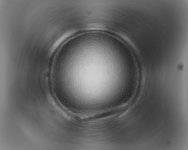X0000113271325200909171704