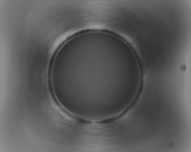 X0000113271327200909171704
