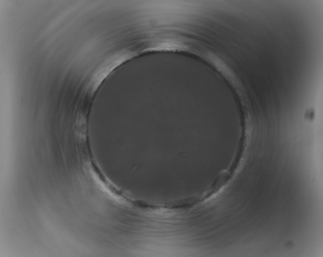 X0000113271329200909171704