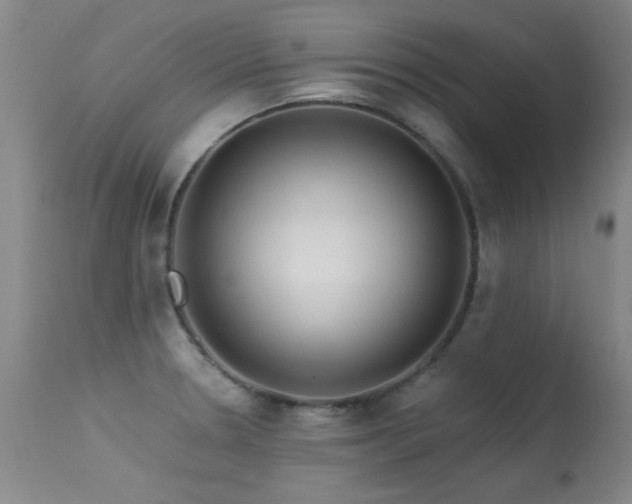 X0000113271330200909171704
