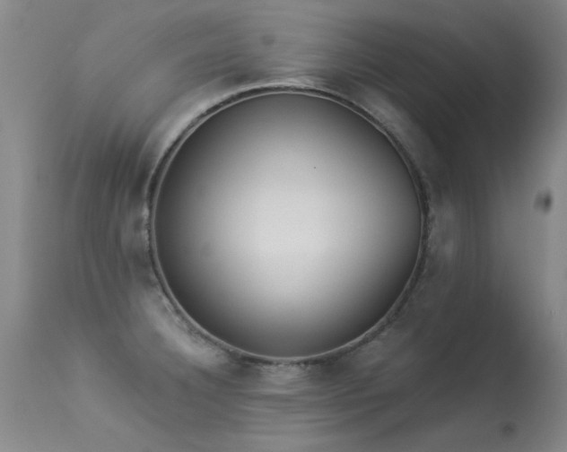 X0000113271332200909171704