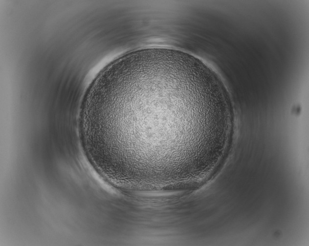 X0000113271333200909171704