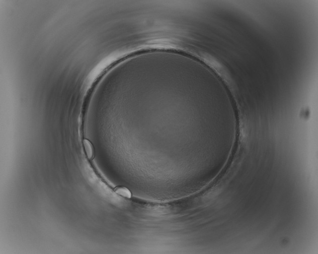 X0000113271334200909171704