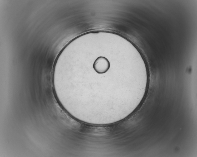 X0000113271338200909171704