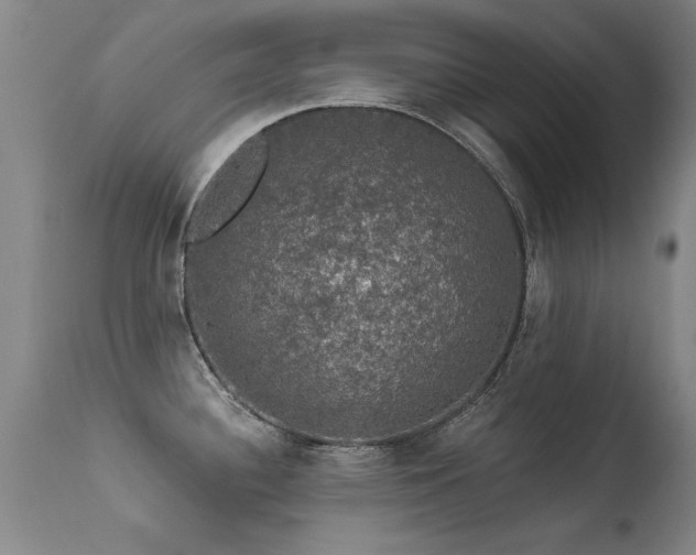 X0000113271340200909171704