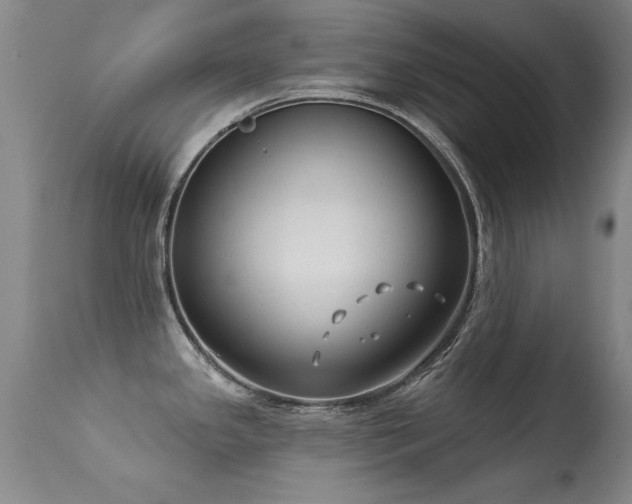 X0000113271341200909171704