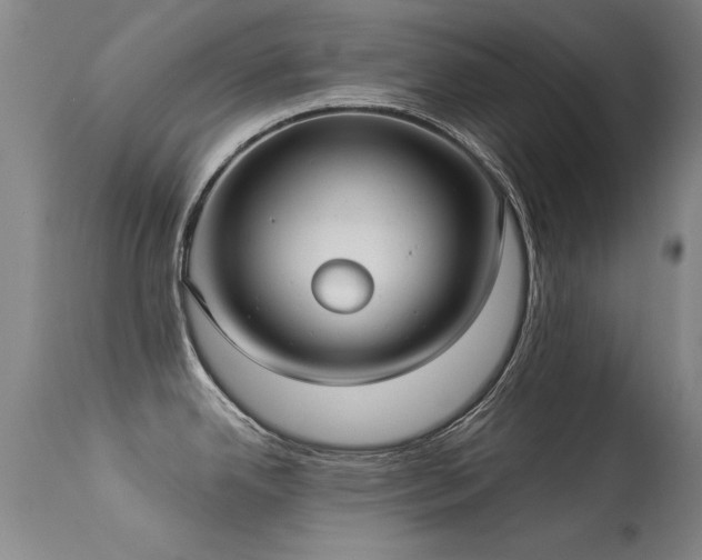 X0000113271342200909171704