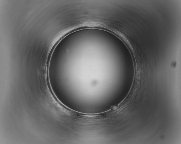 X0000113271343200909171704