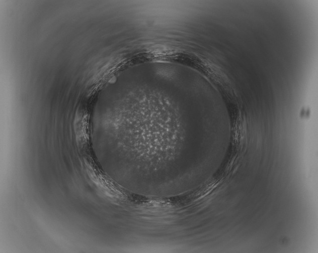 X0000113271346200909171703