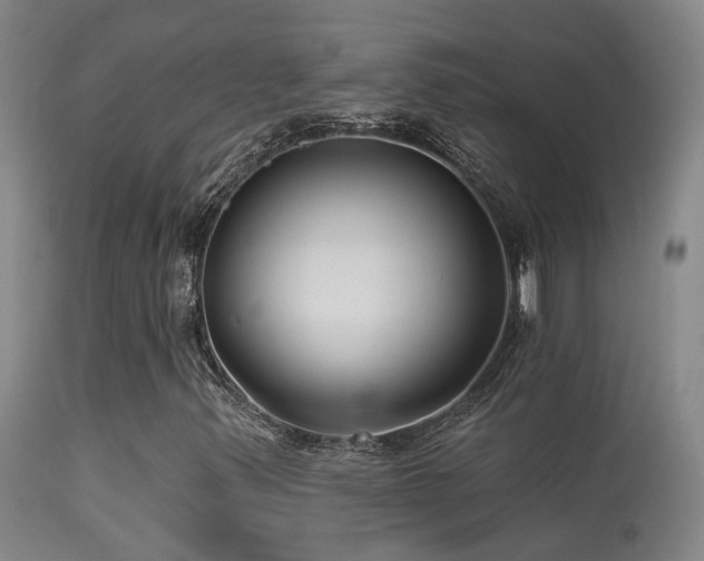 X0000113271347200909171703