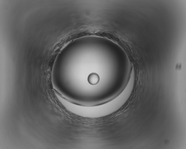 X0000113271349200909171703