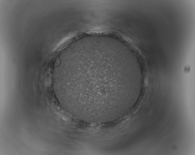 X0000113271350200909171703