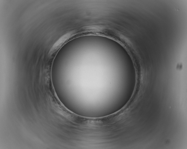 X0000113271354200909171703