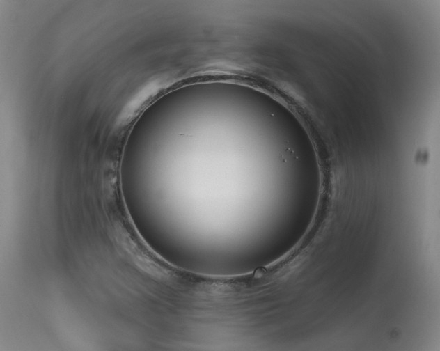 X0000113271355200909171703