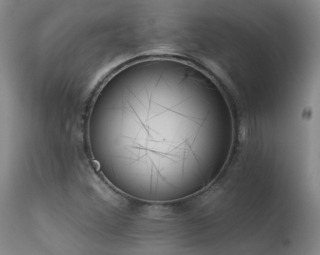 X0000113271356200909171703