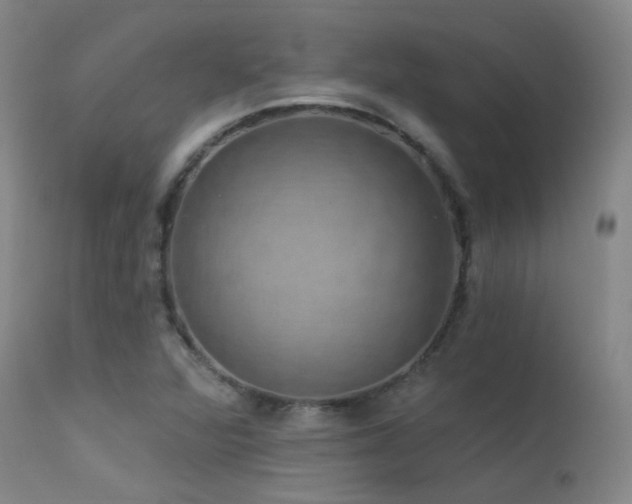 X0000113271360200909171703