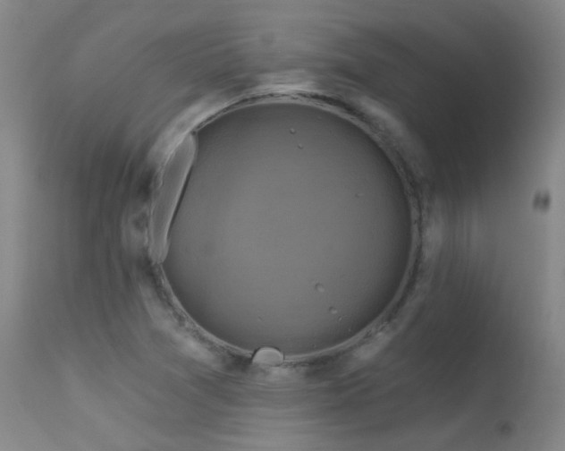 X0000113271361200909171703