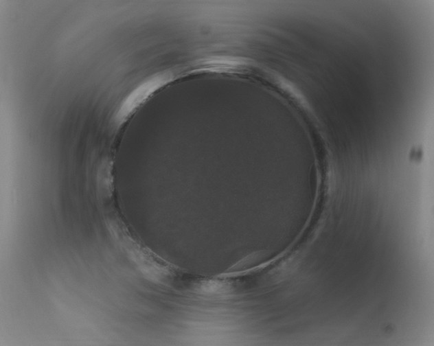 X0000113271362200909171703