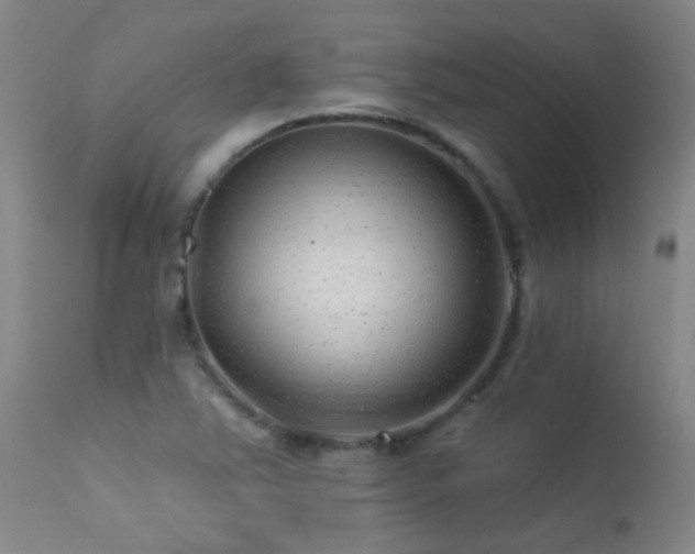 X0000113271363200909171703