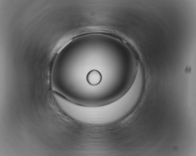 X0000113271365200909171703