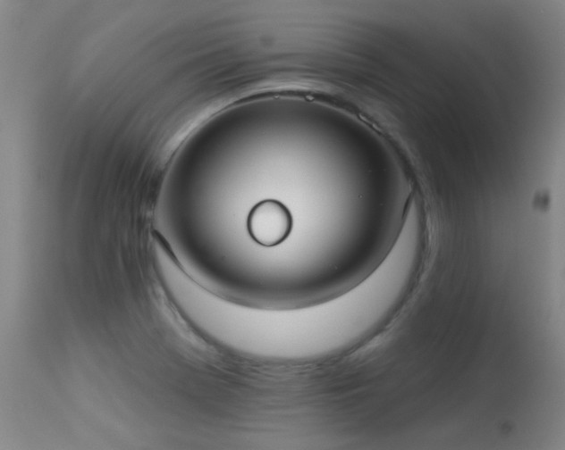 X0000113271369200909171703