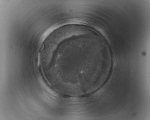 X0000113271371200909171703