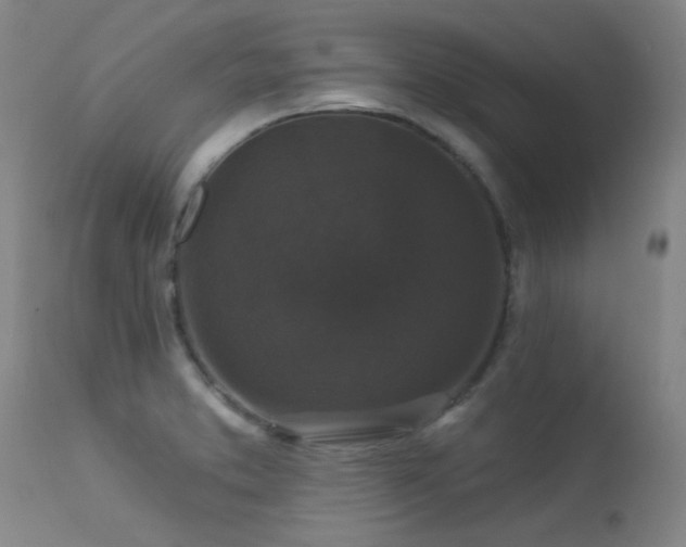 X0000113271373200909171703