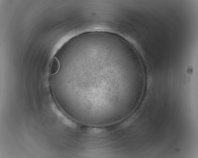 X0000113271374200909171703