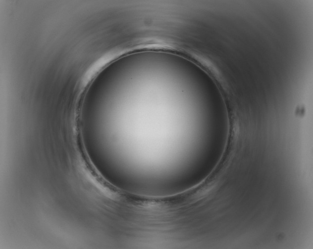 X0000113271375200909171703