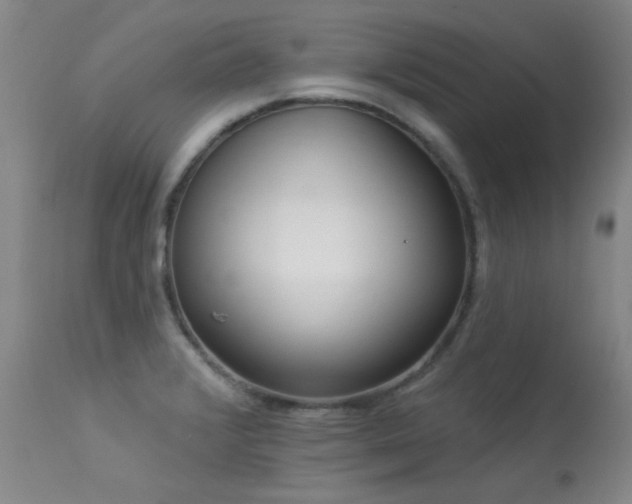 X0000113271376200909171703