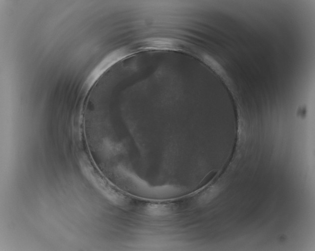 X0000113271378200909171703