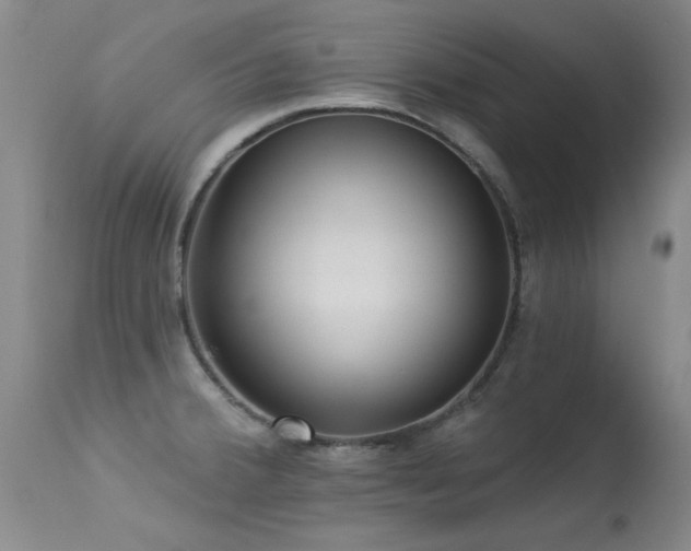 X0000113271380200909171703