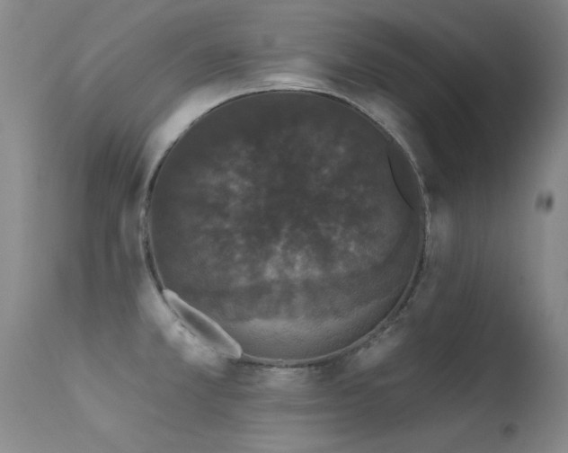 X0000113271381200909171703