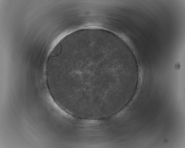 X0000113271382200909171703