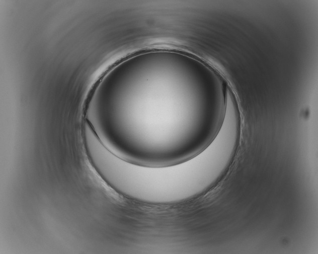 X0000113271384200909171703