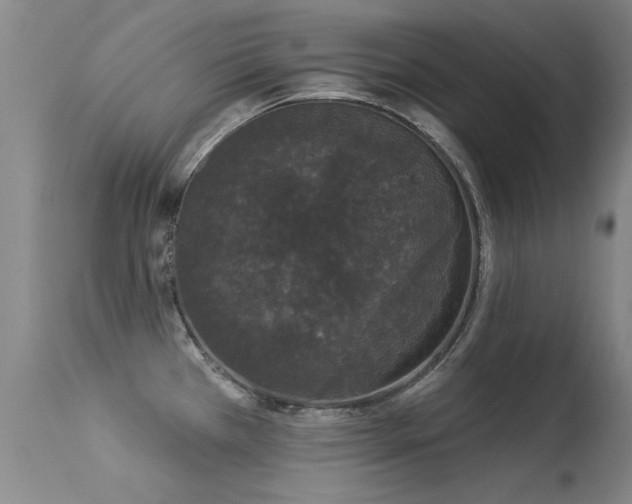 X0000113271385200909171703