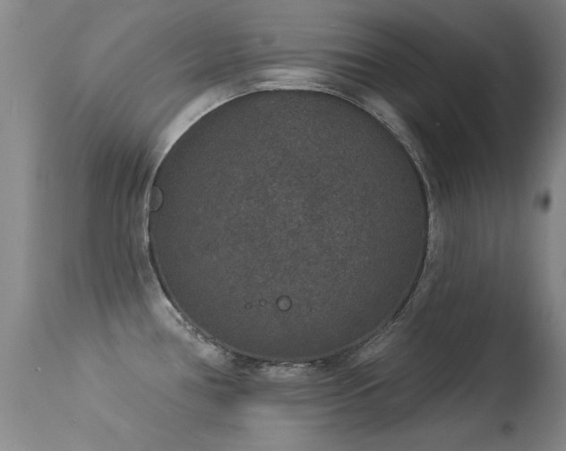 X0000113271386200909171703