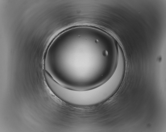 X0000113271388200909171703