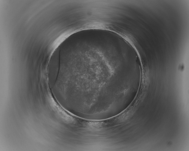 X0000113271389200909171703