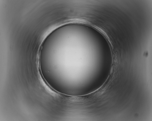 X0000113271391200909171703