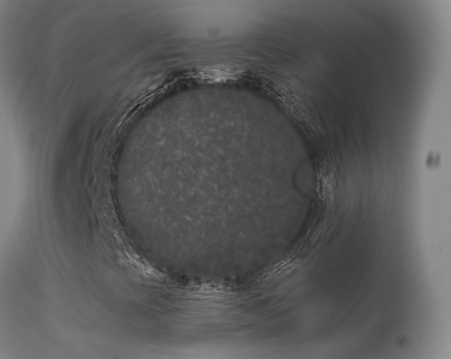 X0000113271393200909171702
