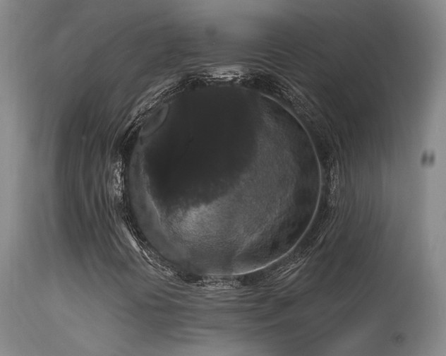 X0000113271394200909171702