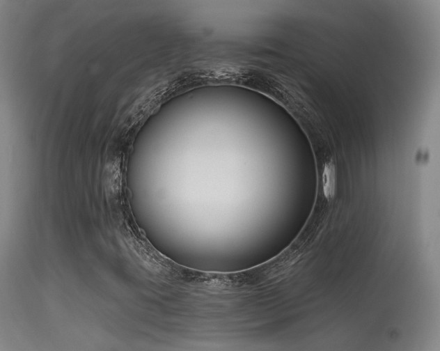 X0000113271395200909171702